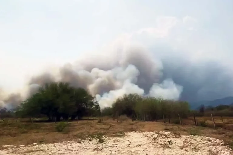 Após 16 dias de combate ao fogo na Serra do Amolar, brigadistas enfrentam novo incêndio na APA Baía Negra, em Ladário (MS). Ainda não há informações sobre causas e danos.