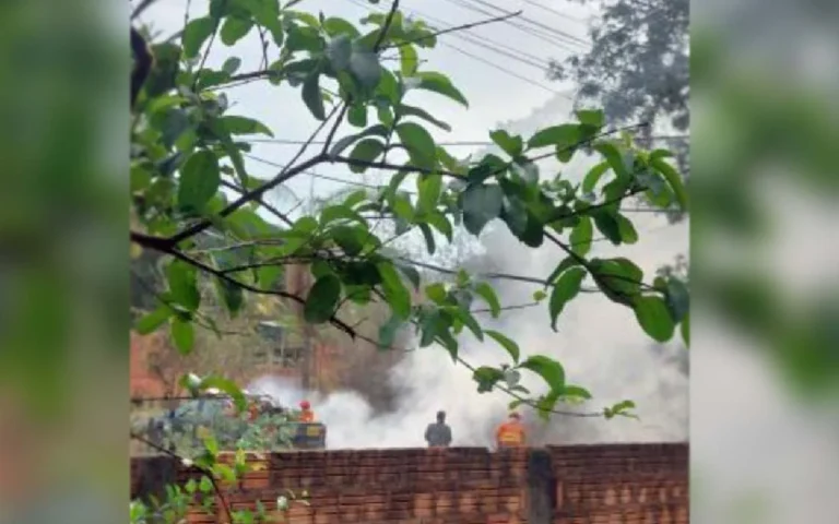 Incêndio em terreno baldio mobilizou Bombeiros em Ladário; 400 litros de água foram usados para extinguir as chamas.