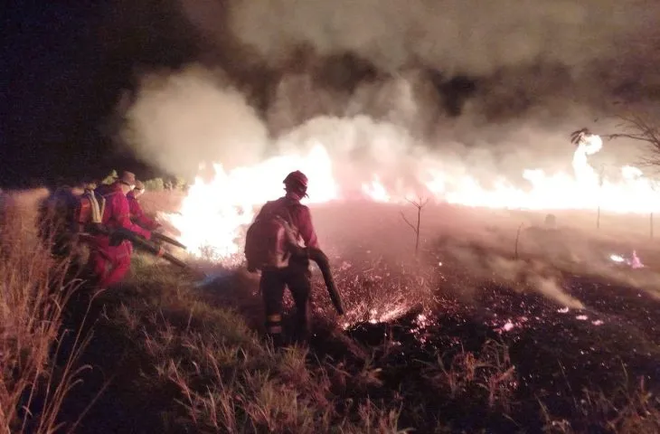 Operação Pantanal em Costa Rica e Alcinópolis