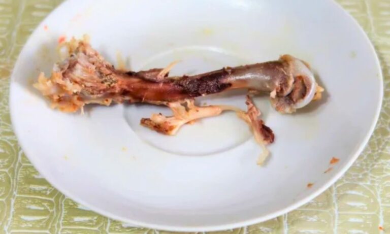 Homem de 52 anos engasgou com osso de galinha em fazenda na região da Nhecolândia, em Corumbá; bombeiros prestaram atendimento e o levaram à Santa Casa.