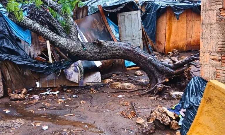 Uma queda de árvore durante temporal em Corumbá destruiu parte de uma residência no bairro Nova Corumbá. Corpo de Bombeiros realizou corte e remoção para garantir segurança.