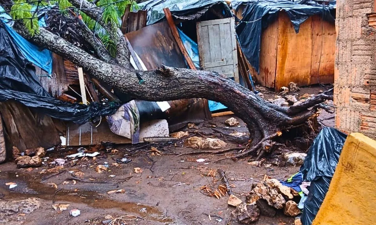 Uma queda de árvore durante temporal em Corumbá destruiu parte de uma residência no bairro Nova Corumbá. Corpo de Bombeiros realizou corte e remoção para garantir segurança.