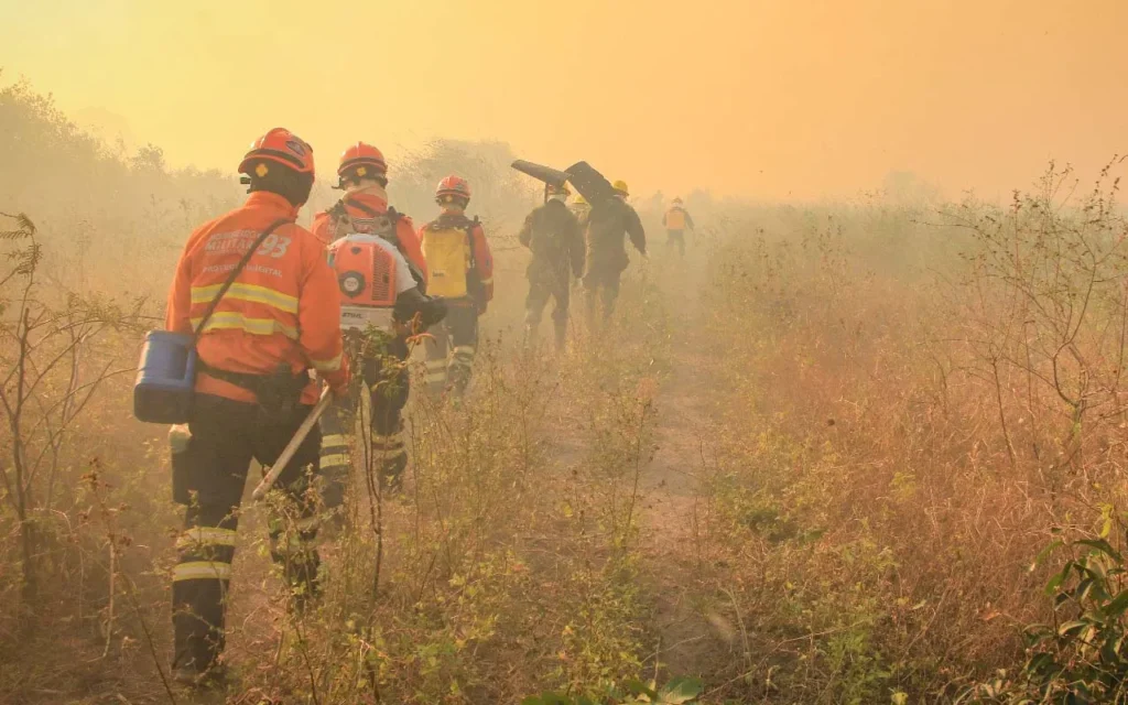 Incêndios no Pantanal colocam MS em alerta e mobilizam Bombeiros no início de 2026 2 Prefeitura de Corumbá decreta emergência por 90 dias devido aos incêndios no Pantanal e pede apoio federal.