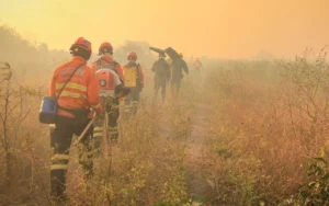 Leia mais sobre o artigo Corumbá decreta Situação de Emergência por incêndios no Pantanal