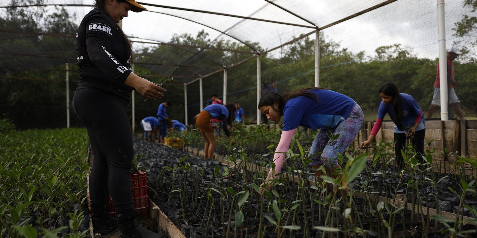 Governo fecha parceria para expandir energia renovavel na Amazonia