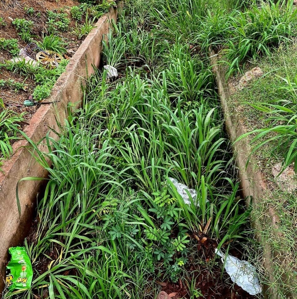 Hanna cobra limpeza de galeria na Avenida Gaturama e pede iluminação em ruas do Maria Leite 3 Imagem do WhatsApp de 2025 11 04 as 09.43.41 cb5b1281