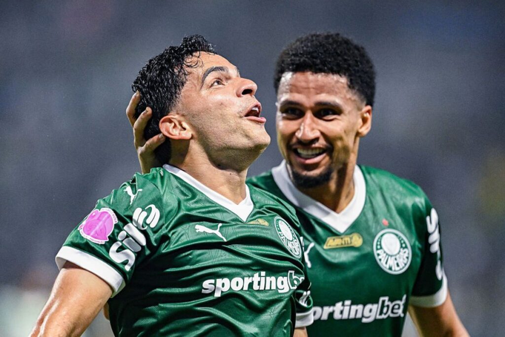 RODRIGUES Palmeiras