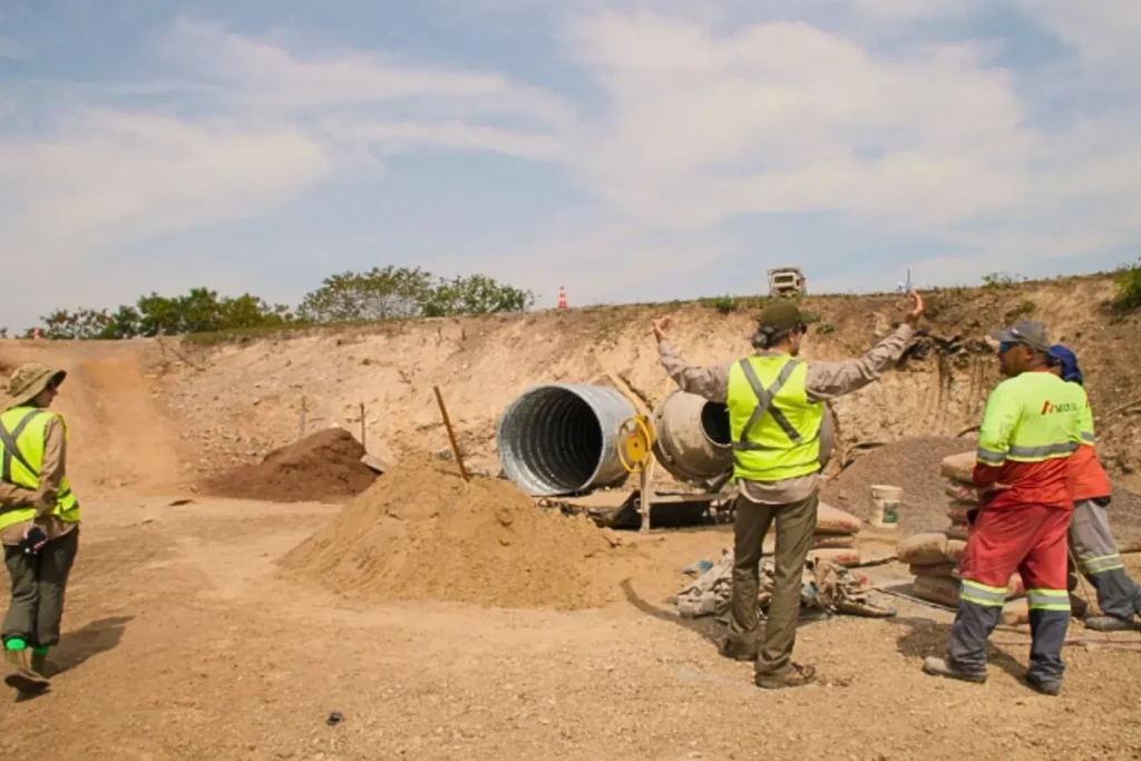 Documentário expõe por que a BR-262 ainda é considerada a rodovia da morte no Pantanal 5 animais na pista5 Documentário