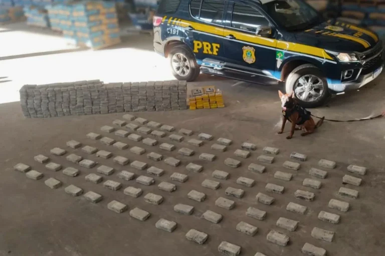 PRF apreende 386 kg de cocaína escondidos em carga de cimento na BR-262, em Campo Grande. Saiba detalhes da operação e abordagem policial.