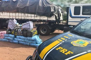 Leia mais sobre o artigo PRF encontra drogas escondidas em carga de ureia na BR-262