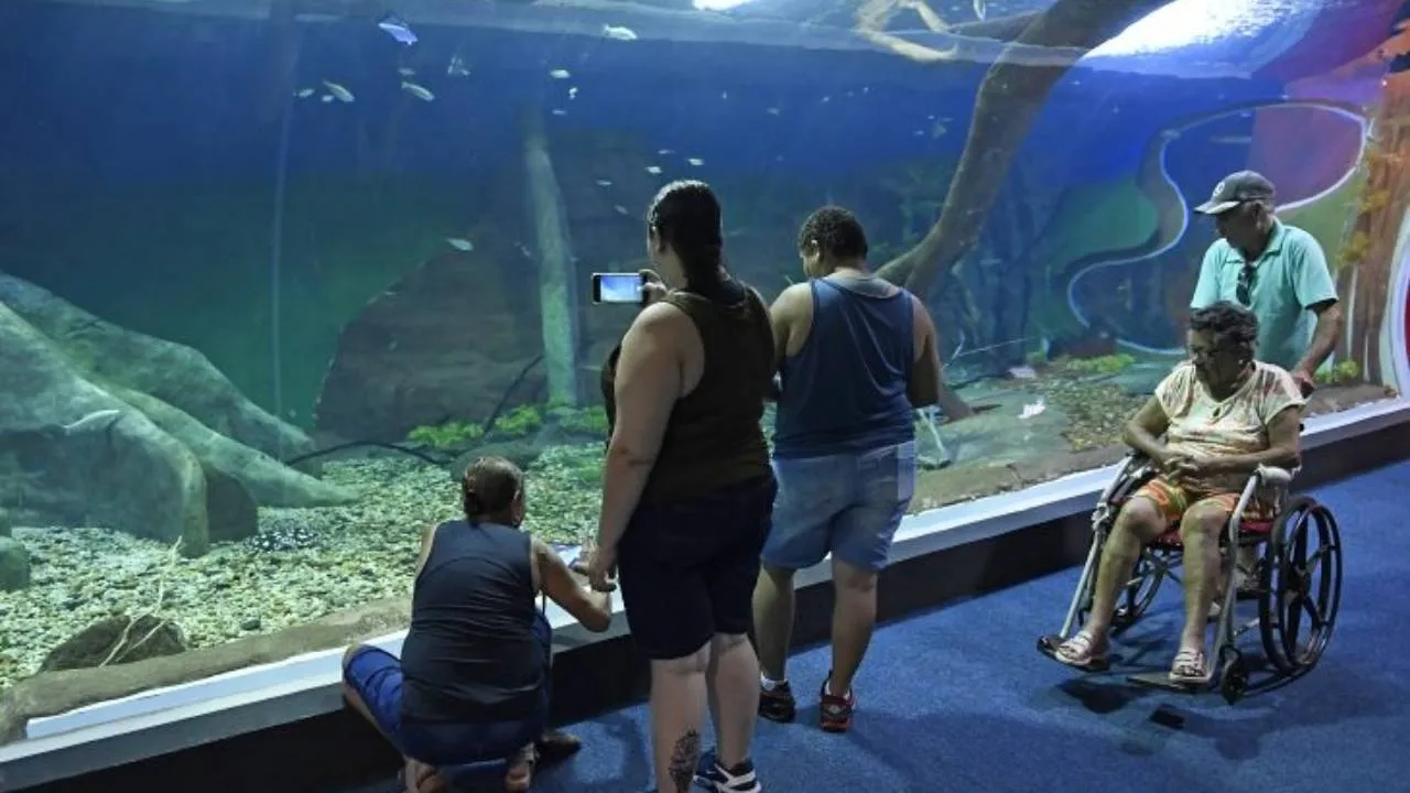 Bioparque Pantanal conquista selo ouro de sustentabilidade e se destaca entre os principais atrativos turísticos sustentáveis do mundo. Saiba mais!