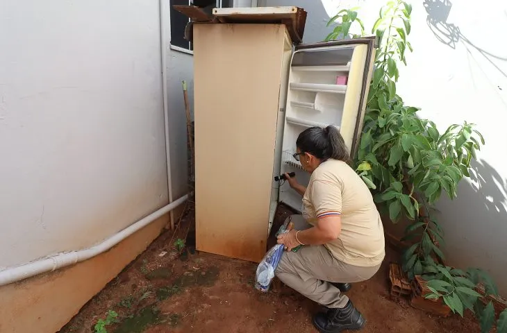 MS registra 8.299 casos confirmados de dengue, aponta boletim epidemiológico