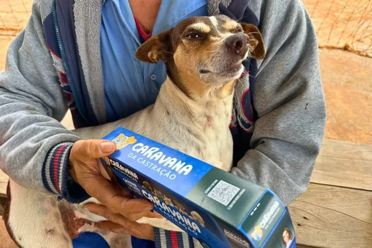 Caravana da Castração em MS já realizou 13 mil atendimentos e segue com apoio de R$ 5 milhões. Projeto beneficia ONGs e protetores independentes.