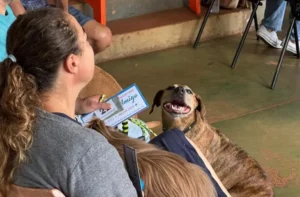 caravana da castração