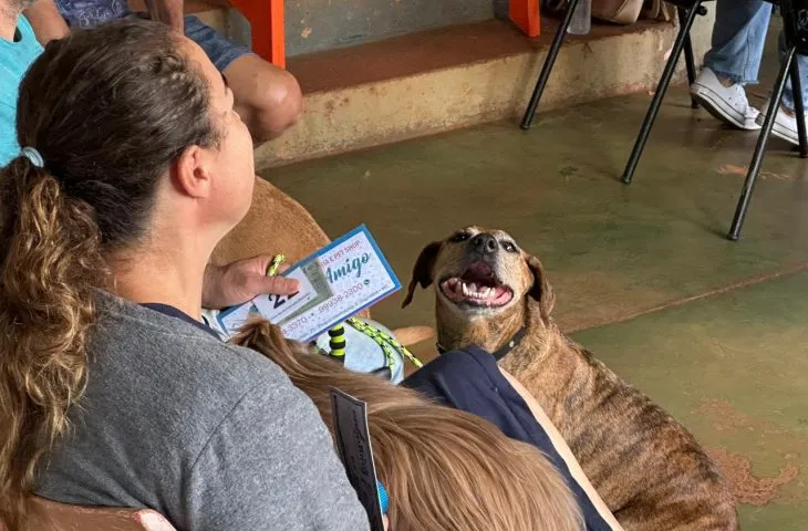 caravana da castração