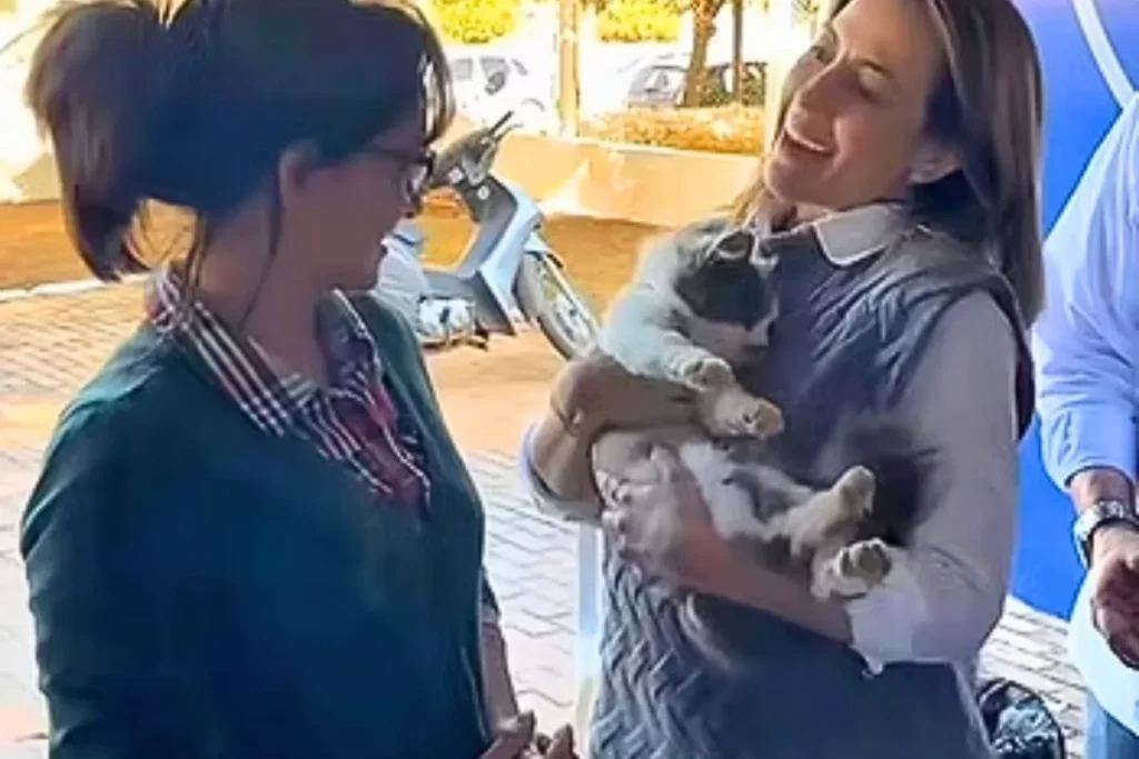 Caravana da Castração percorre MS com apoio de emenda parlamentar 3 caravana castracao4 Caravana da Castração