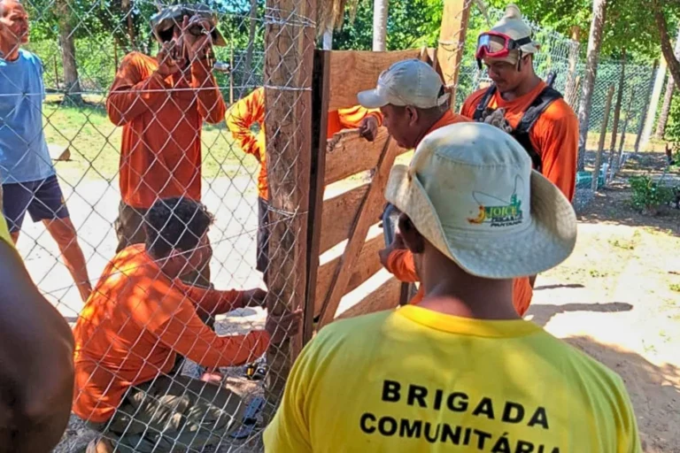 Escolas rurais no Pantanal recebem cercamento e promovem atividades de educação ambiental