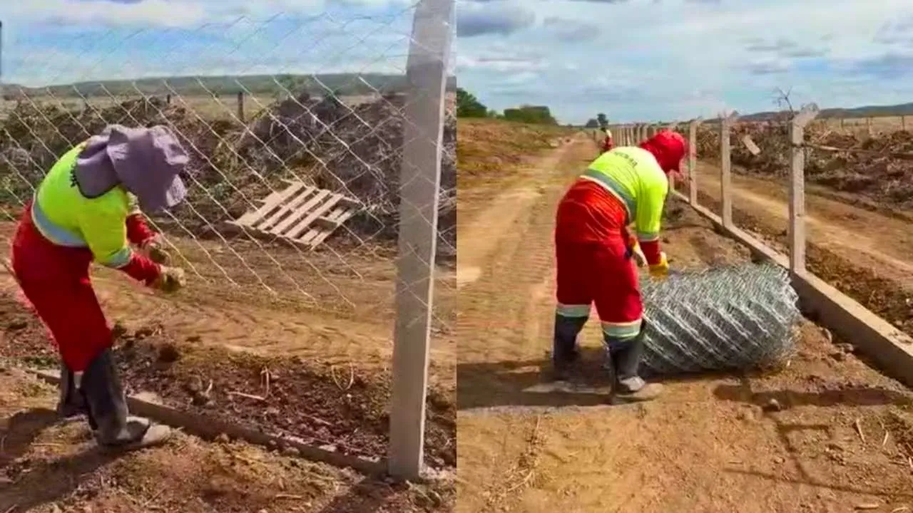 Atropelamento de fauna na BR-262 motiva plano do DNIT em Mato Grosso do Sul com investimento de R$ 30 milhões.