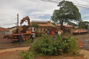 Campo Grande em Alerta Laranja após forte temporal. Prefeitura mobiliza equipes para remoção de árvores, lonas e semáforos. Saiba mais!