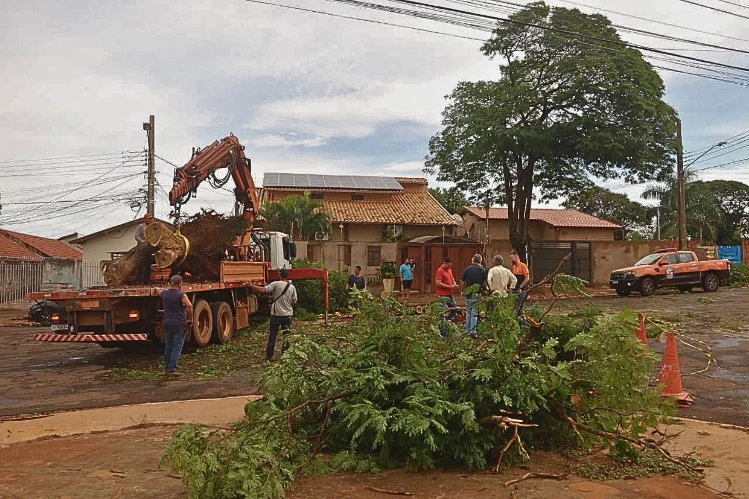 Campo Grande em Alerta Laranja após forte temporal. Prefeitura mobiliza equipes para remoção de árvores, lonas e semáforos. Saiba mais!