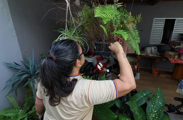 Mato Grosso do Sul mobiliza o 'Dia D' de combate à dengue