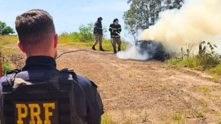 PRF apreende 300 kg de maconha em Naviraí após perseguição