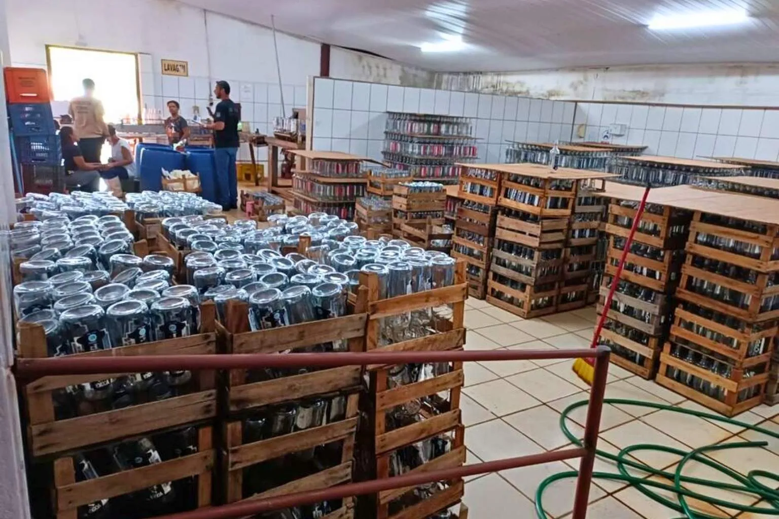 Fábrica clandestina de bebidas é interditada em Terenos (MS). Produção irregular, garrafas com rótulos conhecidos e condições insalubres levam à prisão do proprietário.