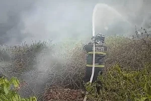 Leia mais sobre o artigo Incêndio em vegetação ameaça casas e mobiliza Bombeiros no Borrovisk em Corumbá