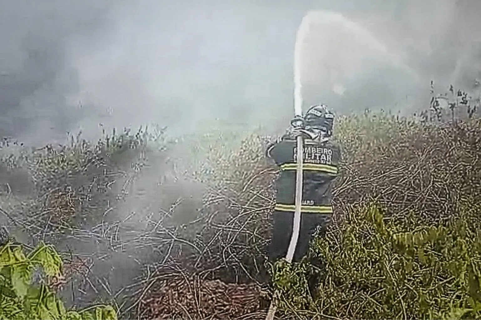 Leia mais sobre o artigo Incêndio em vegetação ameaça casas e mobiliza Bombeiros no Borrovisk em Corumbá