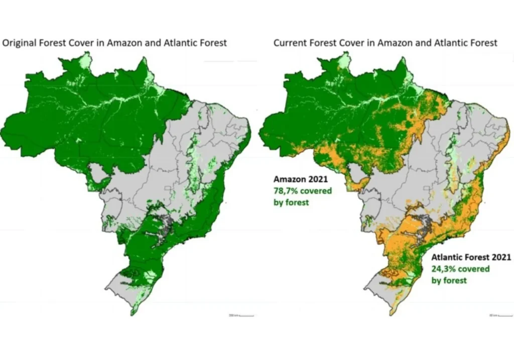 mata atlantica anta-brasileira