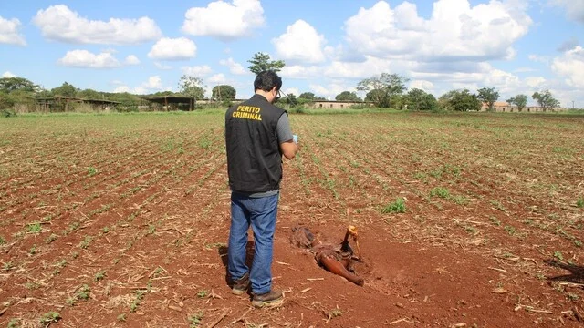 Leia mais sobre o artigo Homem que matou e enterrou corpo em Ponta Porã é preso