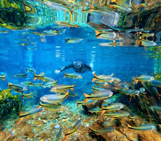 Taxa de R$ 15 por dia será exigida de turistas em Bonito a partir de dezembro