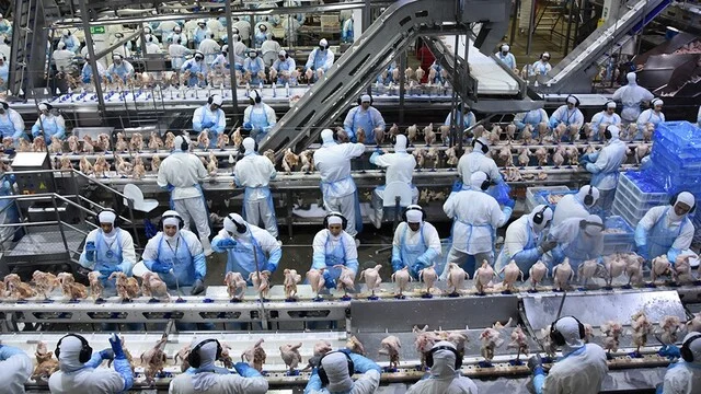 news 149555 1764261320 exportações