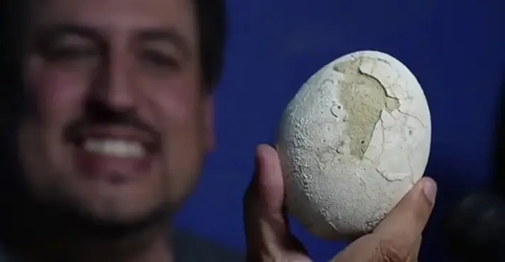 Descoberta histórica na Patagônia Argentina: ovo de dinossauro intacto de 70 milhões de anos pode conter embrião fossilizado.