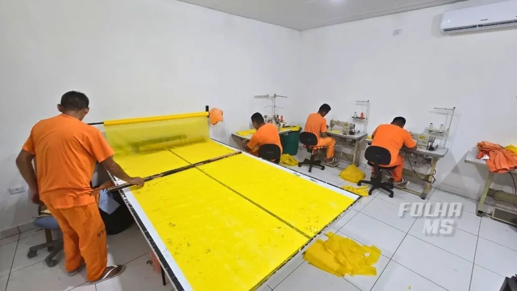 Secretaria de Saúde firma parceria com estabelecimento penal de Corumbá para produção de materiais 5 svg%3E estabelecimento penal