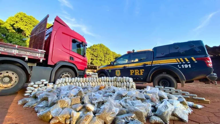 PRF apreende quase 400 kg de Skunk escondidos dentro de caminhão em Anastácio