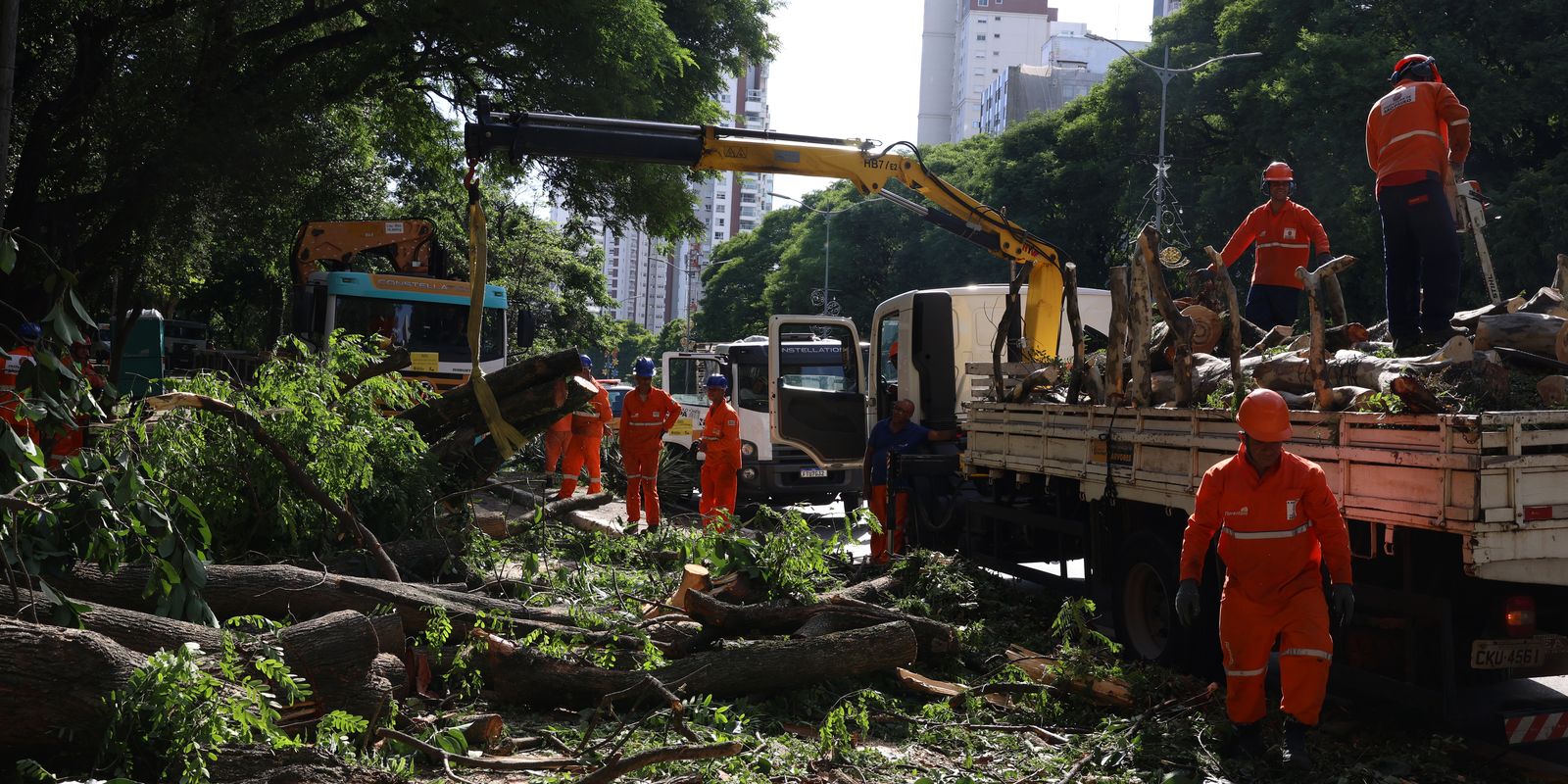 Dois dias apos ciclone SP ainda tem 800 mil moradores