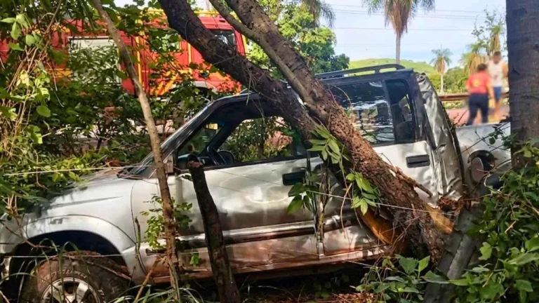 Veículo sai da pista e atinge árvores próximo ao Lampião Aceso