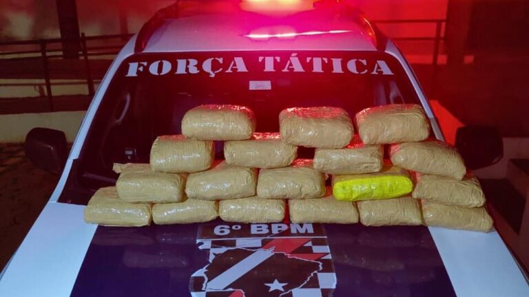 Funcionários de empresa de ônibus encontram mochilas com quase 10 kg de maconha na rodoviária