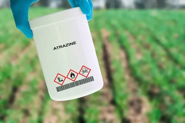 MPF aciona empresas por contaminação do Pantanal pela atrazina. Entenda impactos ambientais, medidas judiciais e riscos para a região.