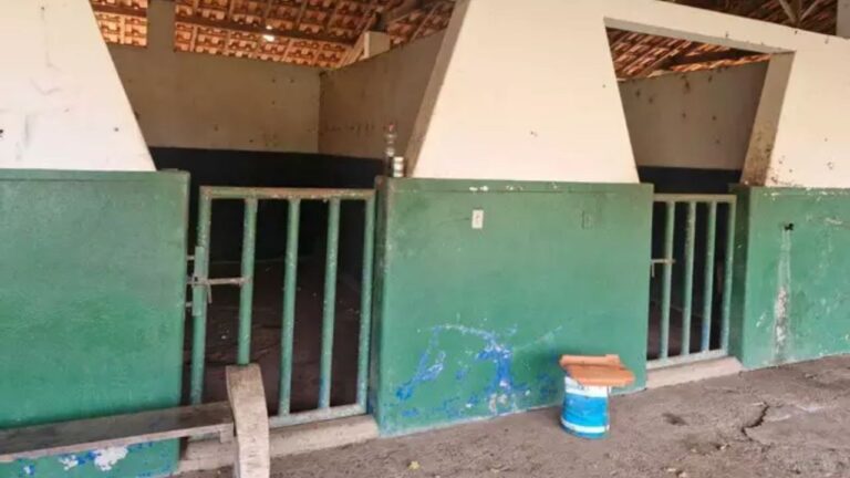 Fazenda em Mato Grosso do Sul é alvo de operação que resgata trabalhadores em situação análoga à escravidão