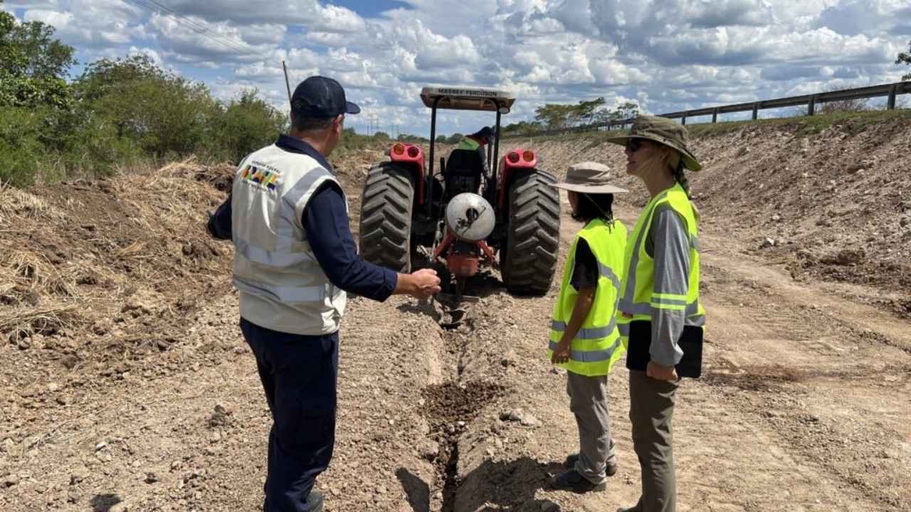 BR-262 recebe R$ 30 milhões em cercas e radares para proteger a fauna pantaneira e reduzir os 3.800 atropelamentos de animais por ano na rodovia.