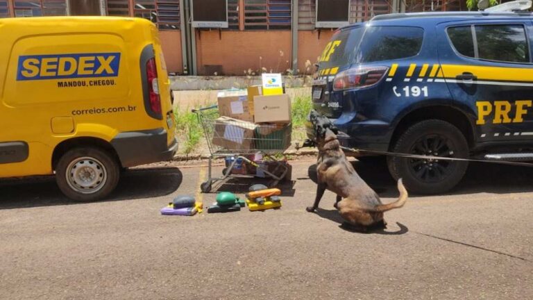 Traficantes usam Air Fryer, doce de leite e tereré para enviar drogas pelos Correios em MS. Operação da PRF apreende 14 kg de entorpecentes.