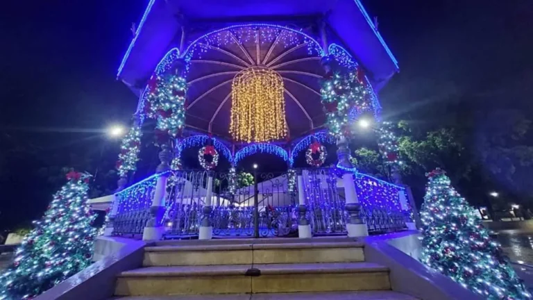 Jardim de natal