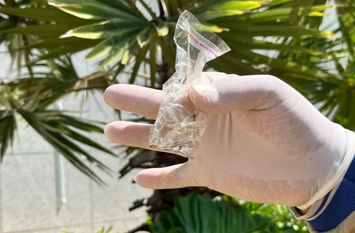 MS registra 8.372 casos confirmados de dengue em 2025