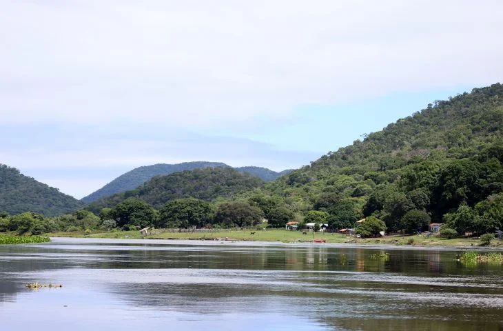 Assembleia Legislativa aprova criação da MS Ativos Ambientais para gerir patrimônio natural