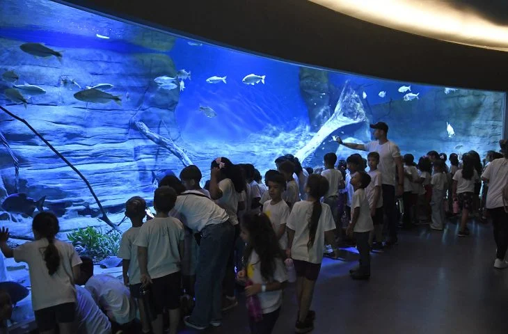 Bioparque Pantanal conquista selo Ouro e se consolida no turismo sustentável mundial