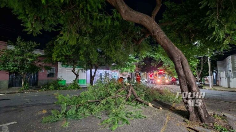 Queda de galhos interdita Rua XV de Novembro duas vezes em Corumbá