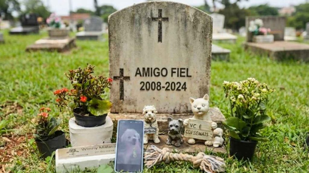 Alesp aprova lei que permite sepultamento de cães e gatos em jazigos familiares em SP. Entenda as regras, custos e impactos aos tutores de pets.