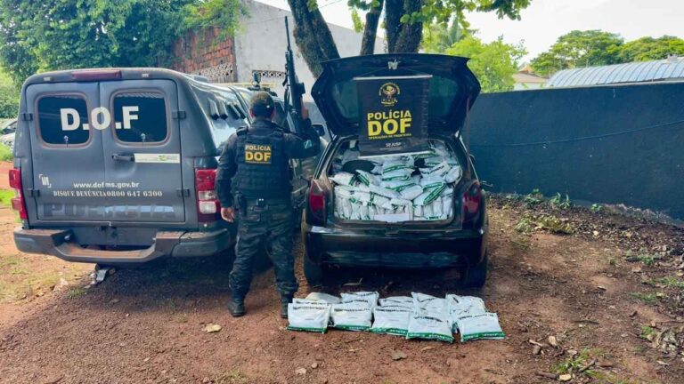 Agrotóxicos apreendidos pelo DOF: Carga ilegal de 700 kg é encontrada em carro abandonado na fronteira de Ponta Porã